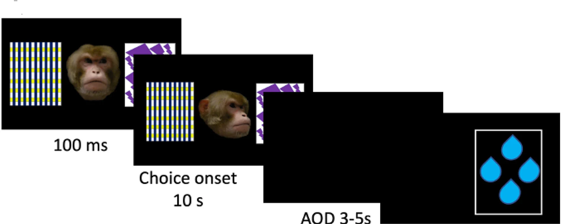 Open access visualization of Workflow, Illustration, Objects, Face Gaze, Animals