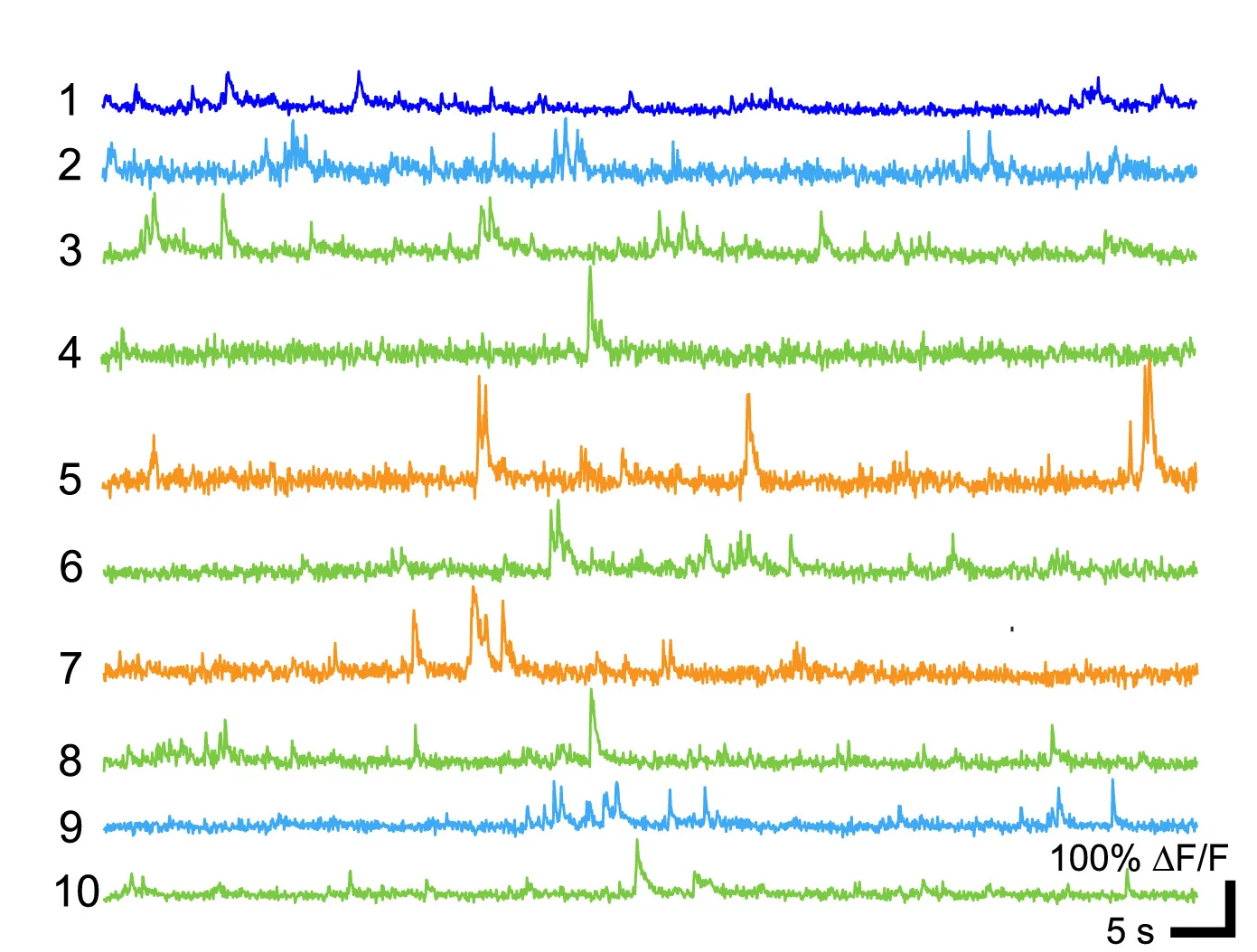 Open access visualization of Line Plot, Calcium Activity, M1 Neurons
