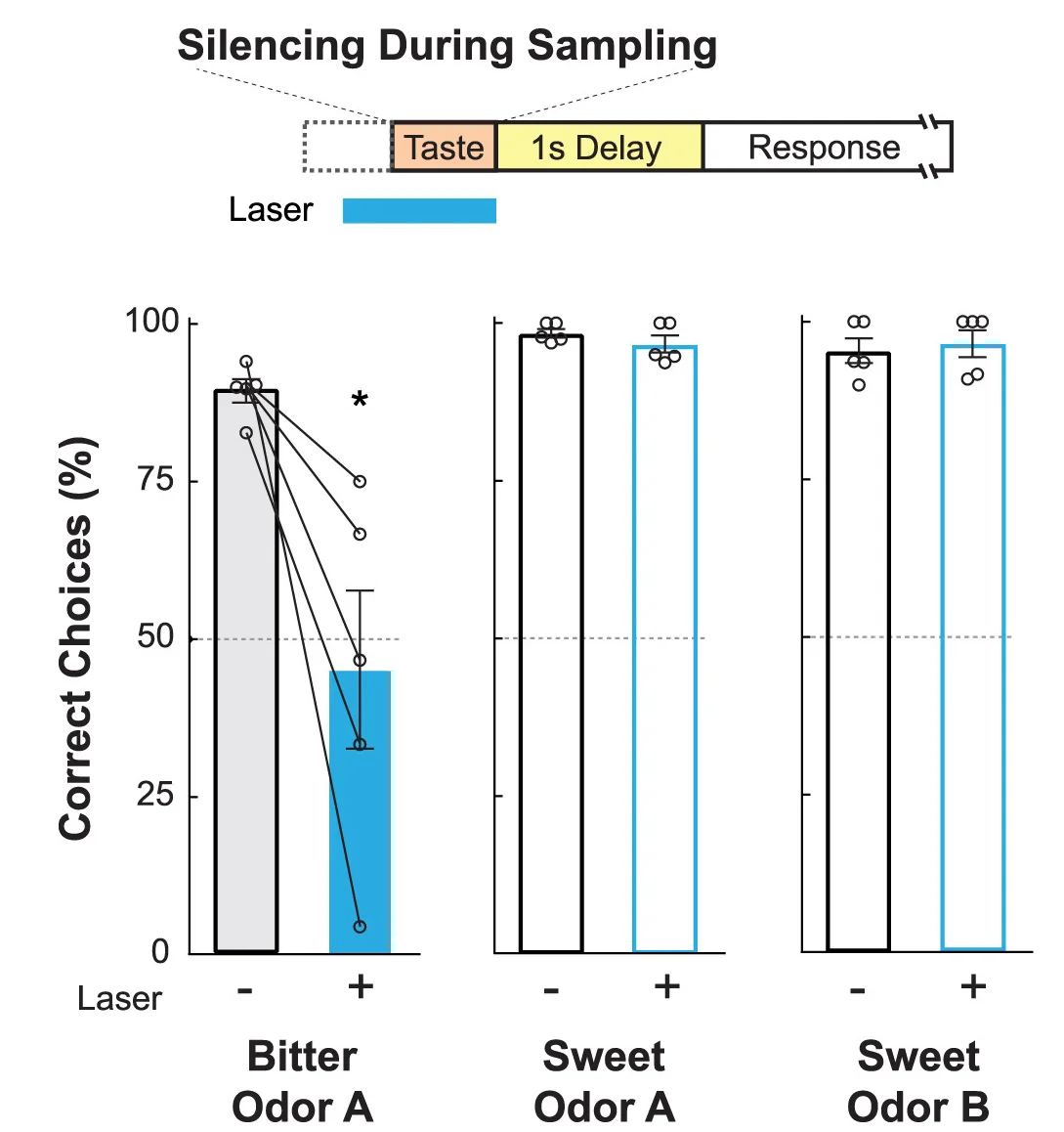 Open access visualization of Bar Plot, Error Bars, Scatter Plot, Optogenetic Silencing, Bitter Neurons