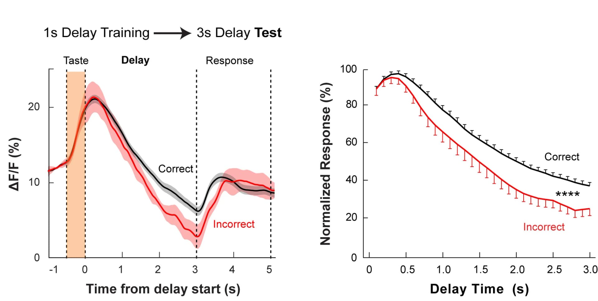 Open access visualization of Line Plot, Error Bars, GCbt Activity, Bitter Odor Stimuli, Taste Memory