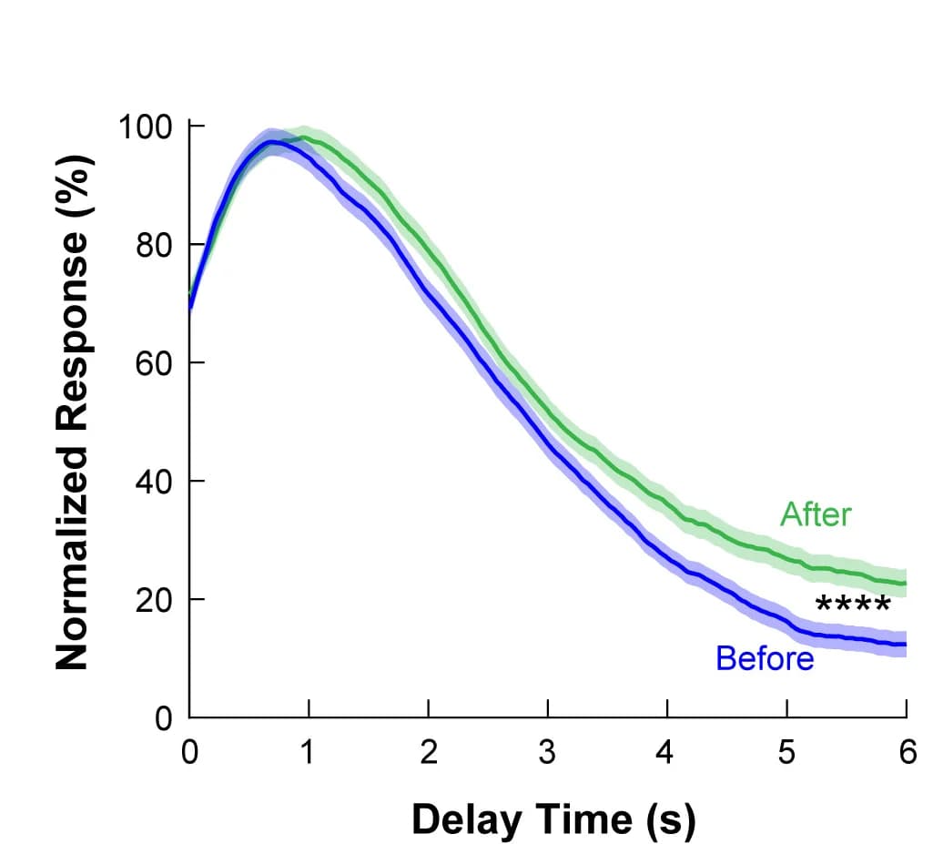 Open access visualization of Line Plot, Error Bars, GCbt Activity, Delay Window, GCaMP6s Responses