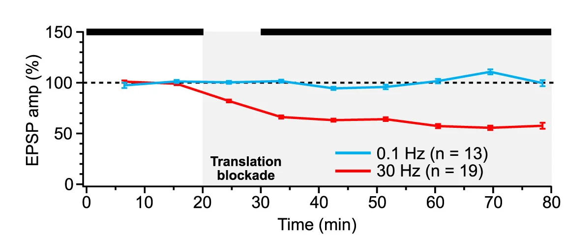 Open access visualization of Line Plot, Error Bars, Translation Blockade, Neurotransmission