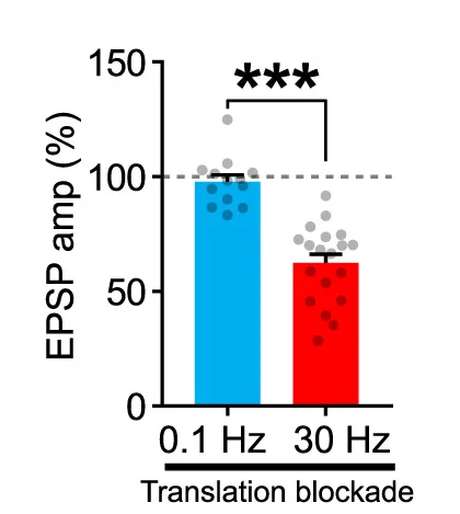 Open access visualization of Bar Plot, Error Bars, Translation Blockade, Neurotransmission