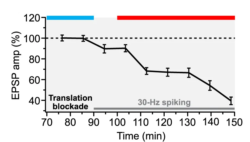 Open access visualization of Line Plot, Error Bars, Recordings, Translation Blockade, Suppression
