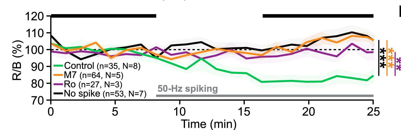 Open access visualization of Line Plot, Error Bars, FM 1-43 Signal, Presynaptic Translation, M7