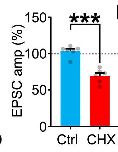 Open access visualization of Bar Plot, Error Bars, CHX, EPSC Amplitude, Controls