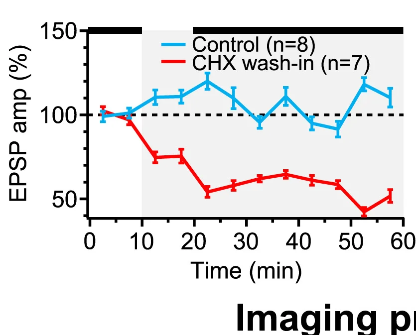 Open access visualization of Line Plot, Error Bars, Burst Neurotransmission, Axotomized Axons, CHX