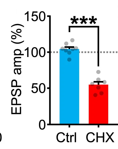 Open access visualization of Bar Plot, Error Bars, Burst Neurotransmission, Axotomized Axons, CHX
