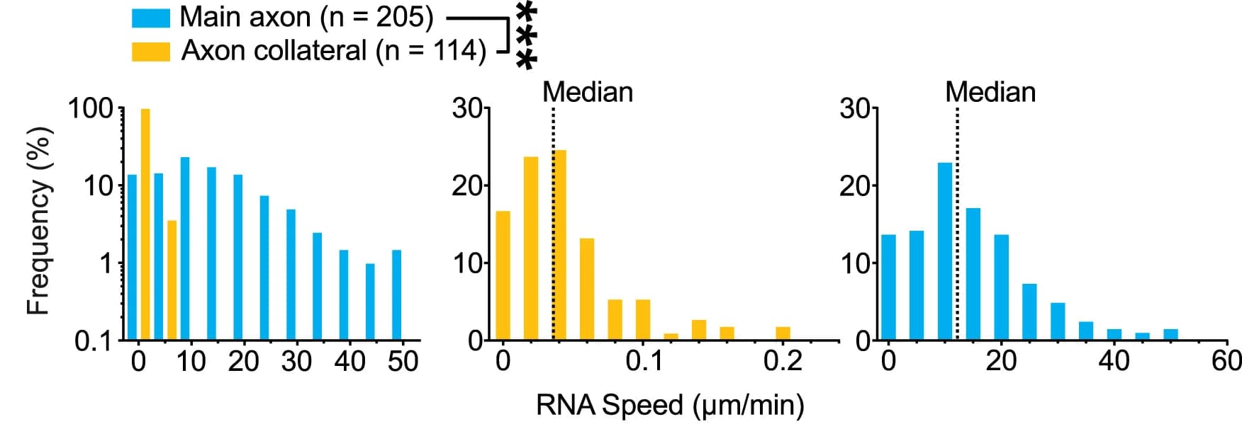 Open access visualization of Bar Plot, RNA, Axon, Speed Distribution