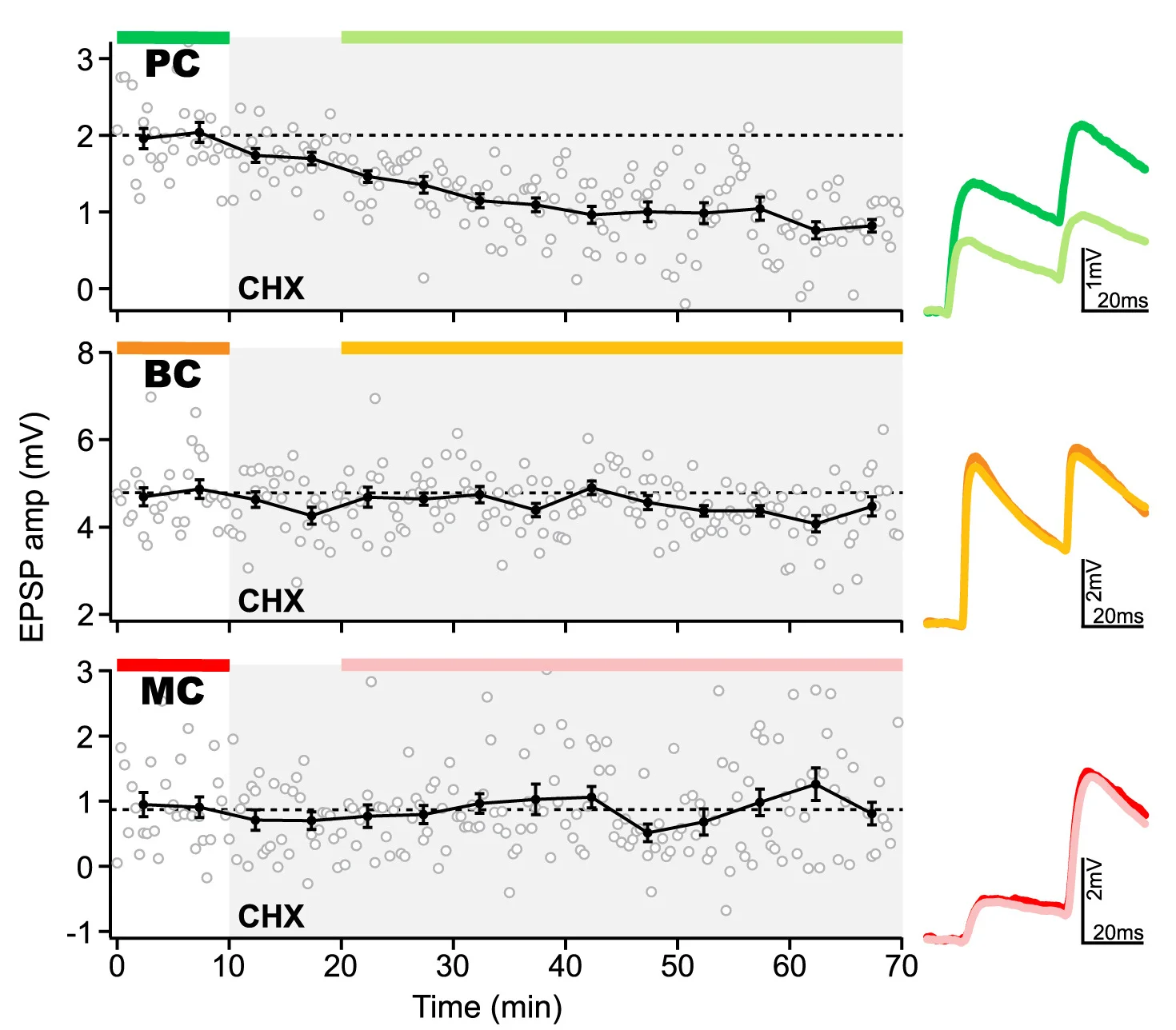 Open access visualization of Line Plot, Scatter Plot, Error Bars, CHX Wash-In, EPSPs
