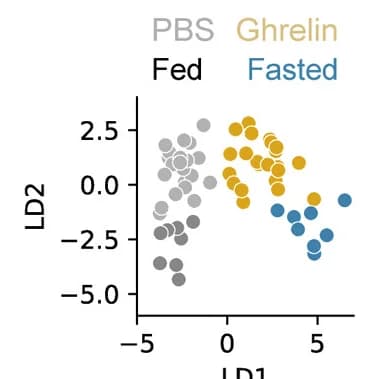 Open access visualization of Scatter Plot, Behavior, Fed, Fasted, PBS