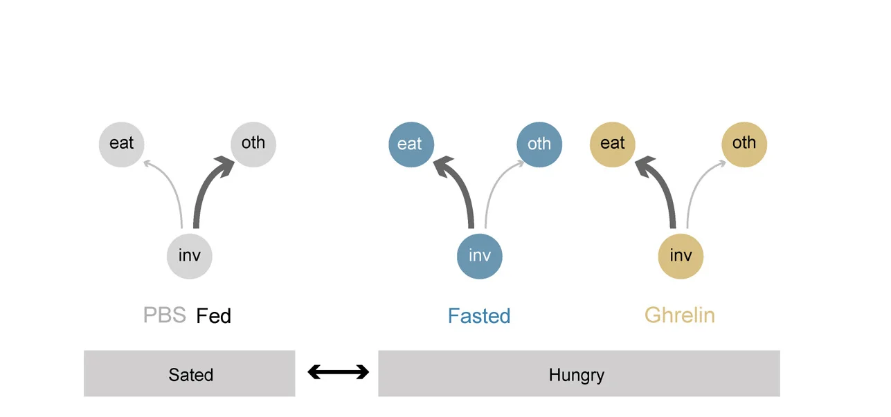 Open access visualization of Pathway, Behavioral Problem, Boxplots, Percentiles, Data Points