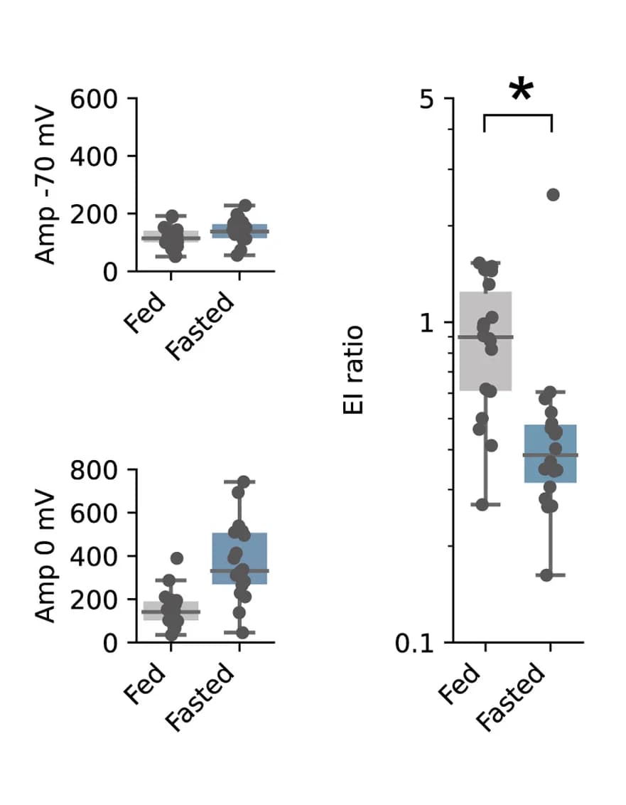 Open access visualization of Box Plot, Scatter Plot, vS-NAc Neurons, vS-LH Neurons, Fed Mice