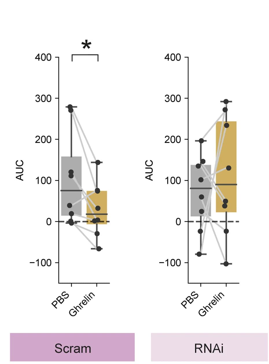 Open access visualization of Box Plot, Scatter Plot, Error Bars, vS-NAc Neurons, GHSR1a RNAi