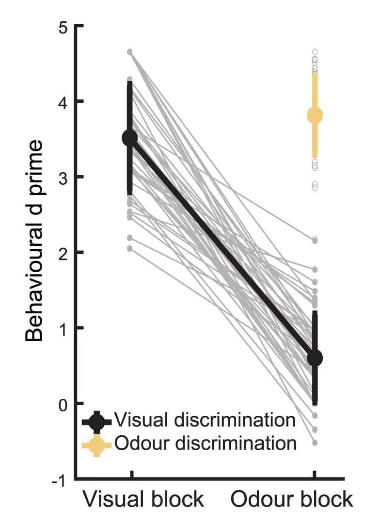 Open access visualization of Line Plot, Error Bars, Behavioral Discrimination, Attention, Visual Discrimination