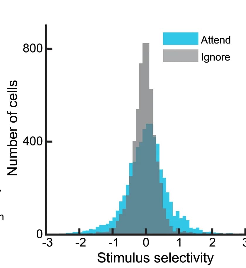 Open access visualization of Bar Plot, Stacked Bar Plot, Histograms, Stimulus Selectivity, Visual Stimuli