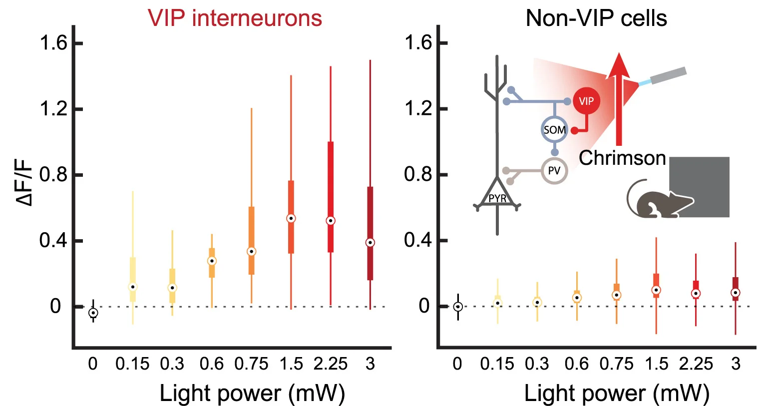 Open access visualization of Box Plot, Illustration, Optogenetically Evoked Activity, Light Powers, VIP Interneurons