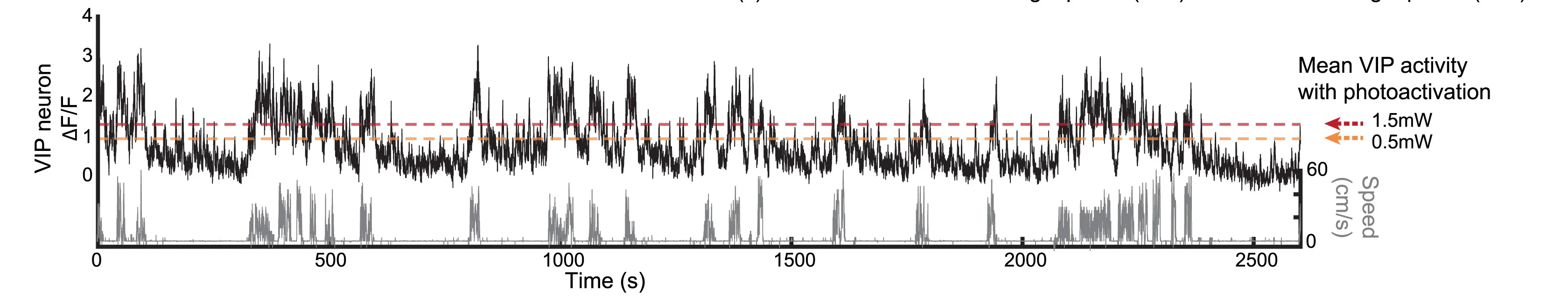 Open access visualization of Line Plot, Line Step, VIP Interneuron, Running Speed, Optogenetically Evoked Activity