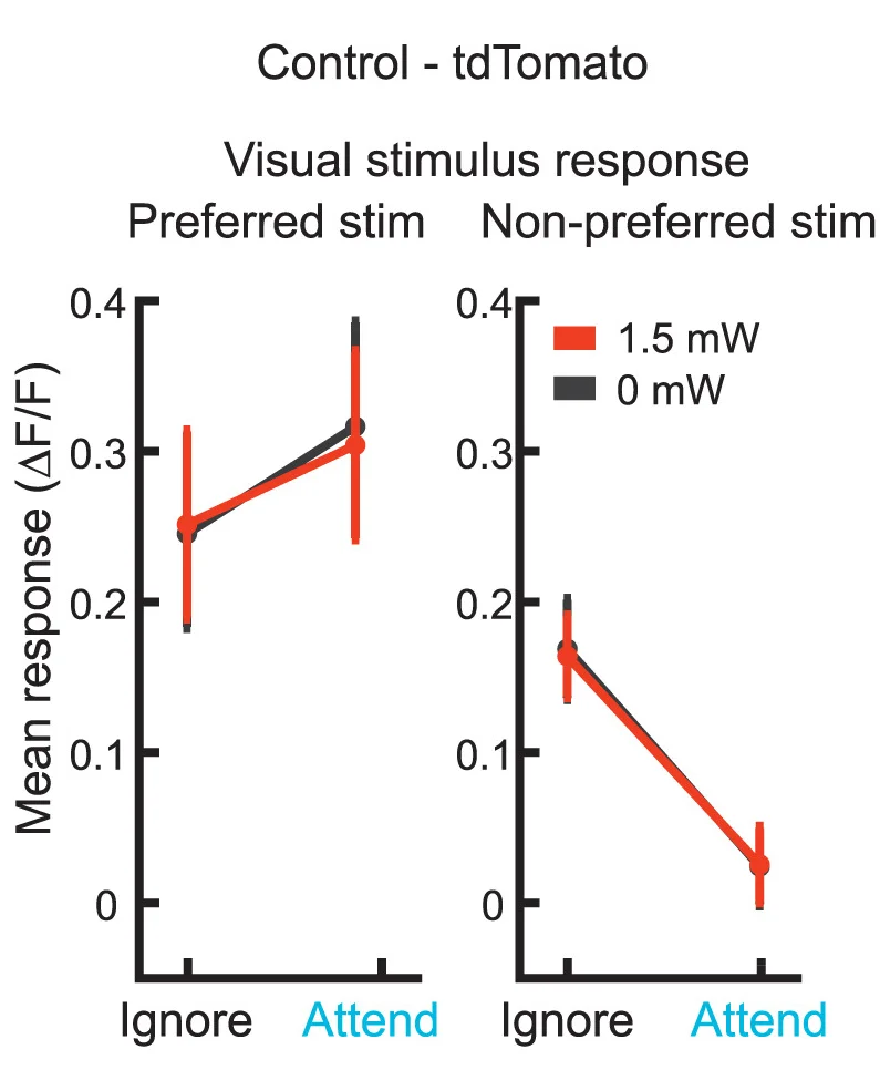 Open access visualization of Line Plot, Error Bars, Visual Stimulus, Non-VIP Cells, Unrewarded Stimulus