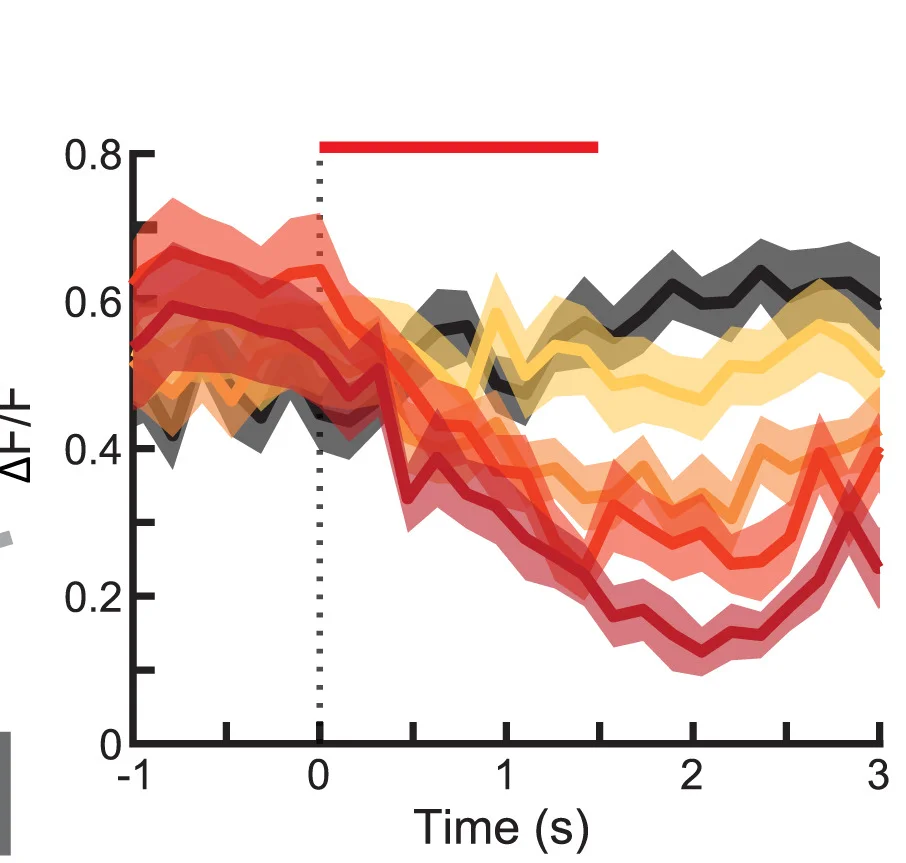 Open access visualization of Line Plot, Error Bars, VIP Interneuron, Light Power, Optogenetic Stimulation