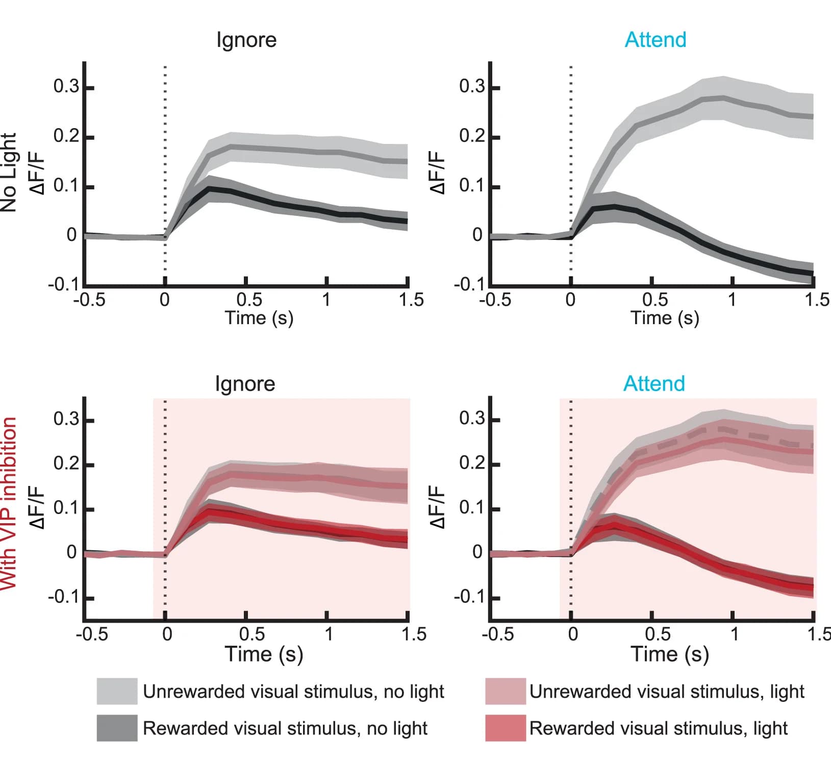 Open access visualization of Line Plot, Error Bars, Visual Stimulus-Evoked Activity, Non-VIP Cells, Unrewarded Stimulus