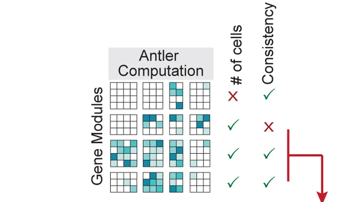 Open access visualization of Workflow, Flowchart, Illustration, Heatmap, Gene Module