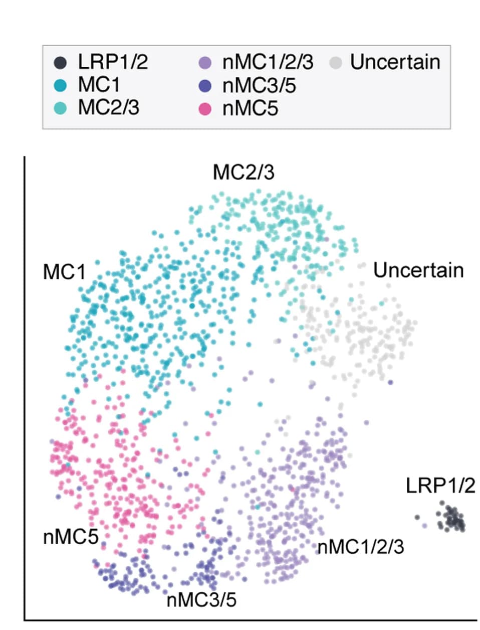 Open access visualization of Scatter Plot, UMAP, PCA, SST+ Neurons, Clustering