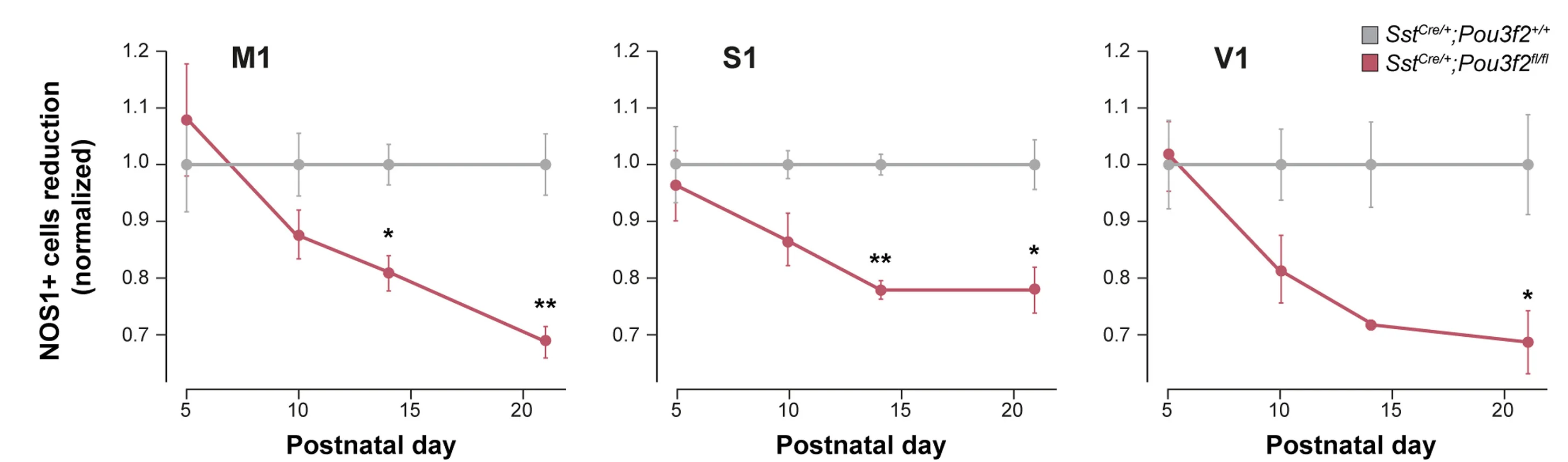 Open access visualization of Line Plot, Error Bars, Normalized Reduction, LRP Neurons, Two-way ANOVA