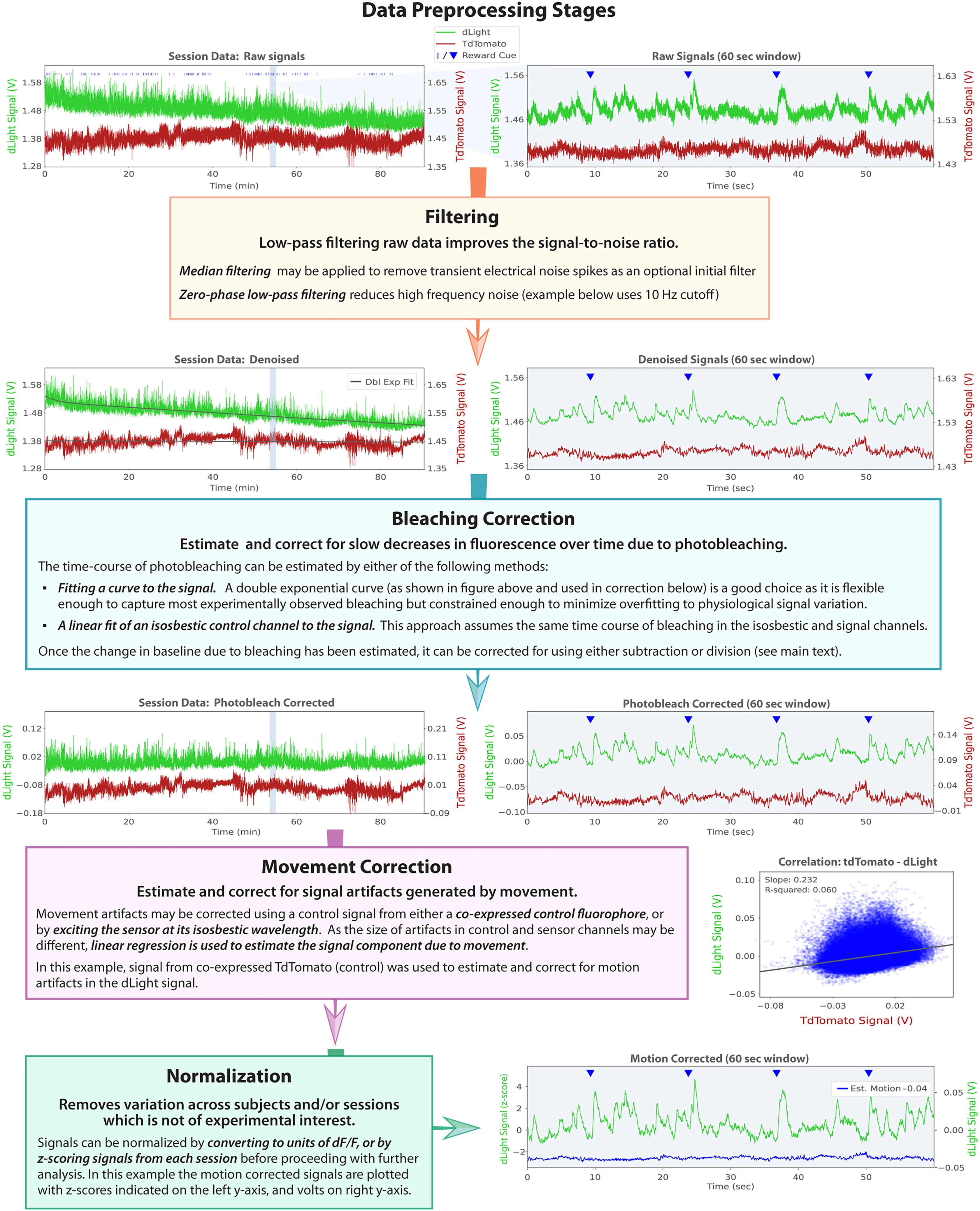 Open access visualization of Line Plot, Scatter Plot, Regression Plot, Photometry, Data Preprocessing