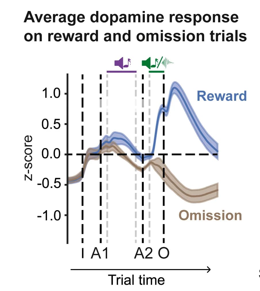Open access visualization of Line Plot, Error Bars, Dopamine Activity, Reward, Omission