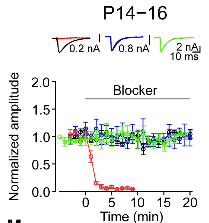 Open access visualization of Line Plot, Error Bars, Transmitter Release, Calcium Channels, Average IPSCs