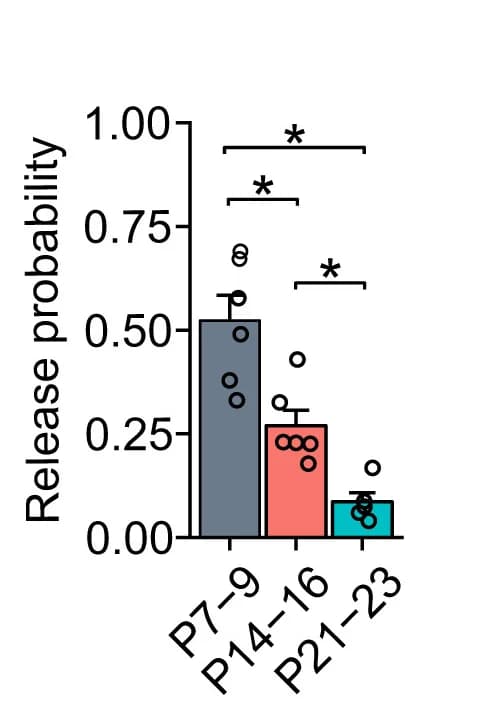 Open access visualization of Bar Plot, Error Bars, Scatter Plot, Bar Graphs, Release Probability
