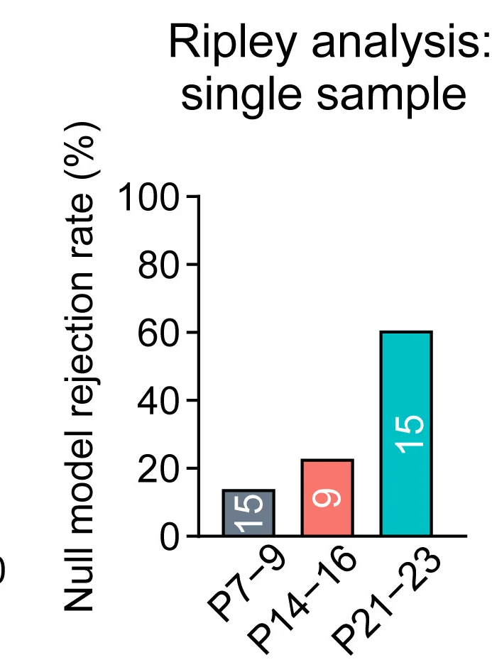 Open access visualization of Bar Plot, Ripley H-Function Analysis, Docked Vesicle Distribution, Active Zones, Statistical Analysis