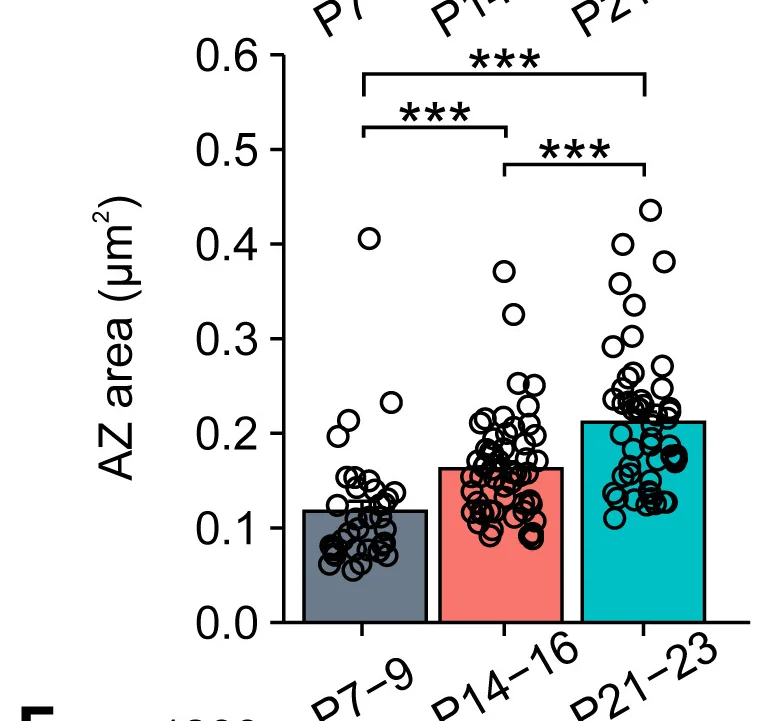 Open access visualization of Bar Plot, Scatter Plot, Active Zones, Area, Bar Graph