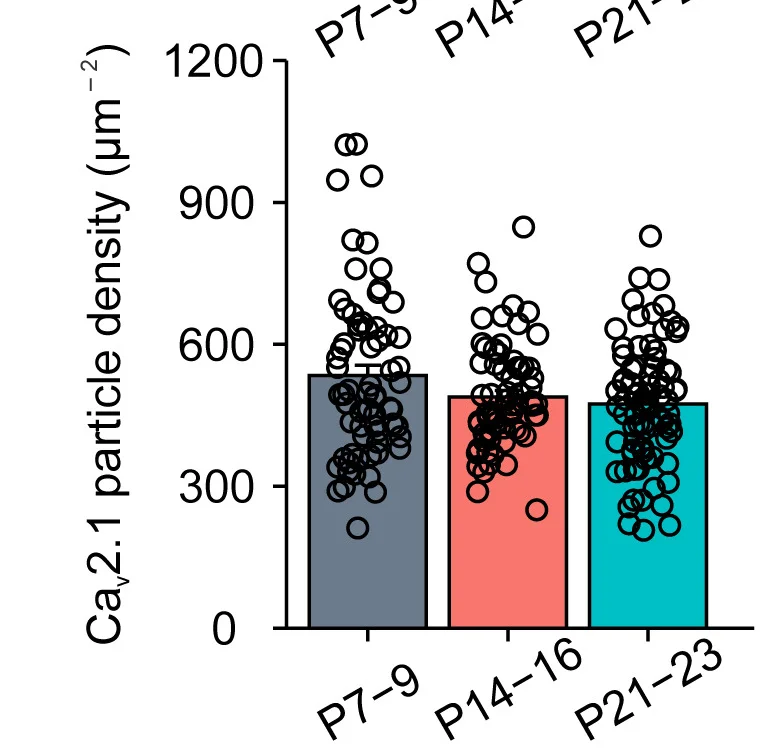 Open access visualization of Bar Plot, Scatter Plot, Particle Density, Active Zones, Bar Graph
