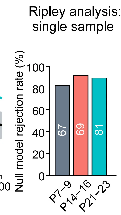 Open access visualization of Bar Plot, Ripley H-function, Cav2.1 Gold Particle, Active Zones, Null Model Rejection
