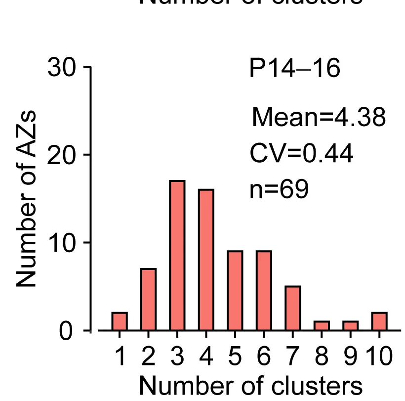 Open access visualization of Bar Plot, Histogram, Cav2.1 Clusters, Active Zones, Histograms