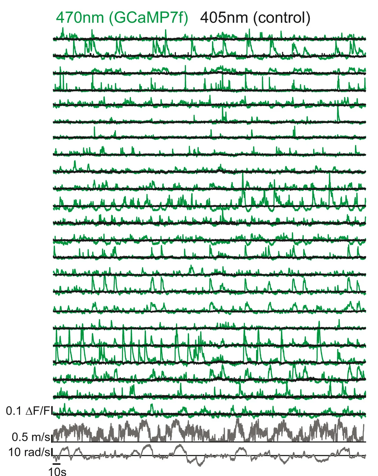 Open access visualization of Line Plot, GCaMP7f Fluorescence, Fiber Array, Striatum, D1-cre Mouse