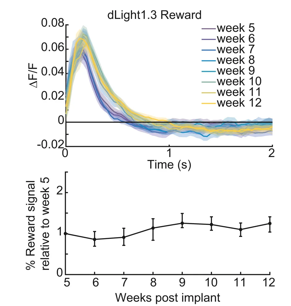 Open access visualization of Line Plot, Error Bars, dLight1.3b Fluorescence, DA Release, Water Reward
