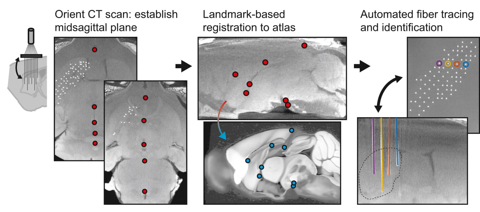 Open access visualization of Workflow, Localization, Micro-CT Scan, Optical Fibers, Allen Mouse Brain Atlas