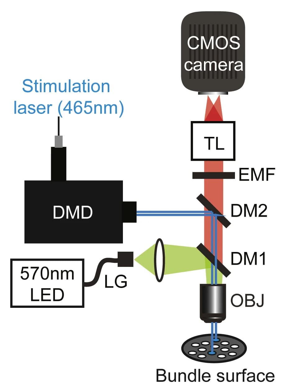 Open access visualization of Workflow, Illustration, Microscope Design, Light Path, Single-Site Stimulation