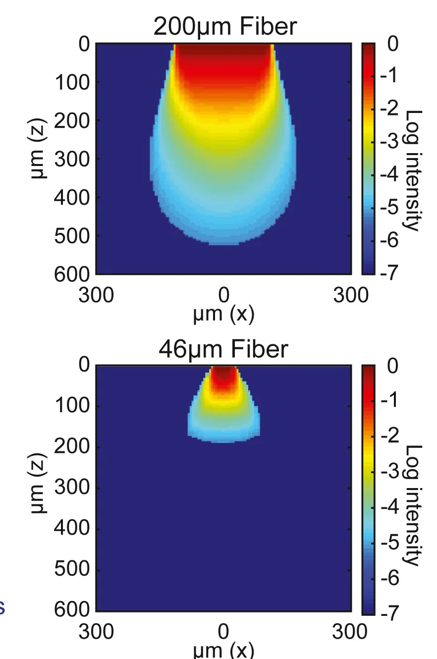 Open access visualization of Heatmap, Excitation Light, Optical Fiber, Power Density, ChR2