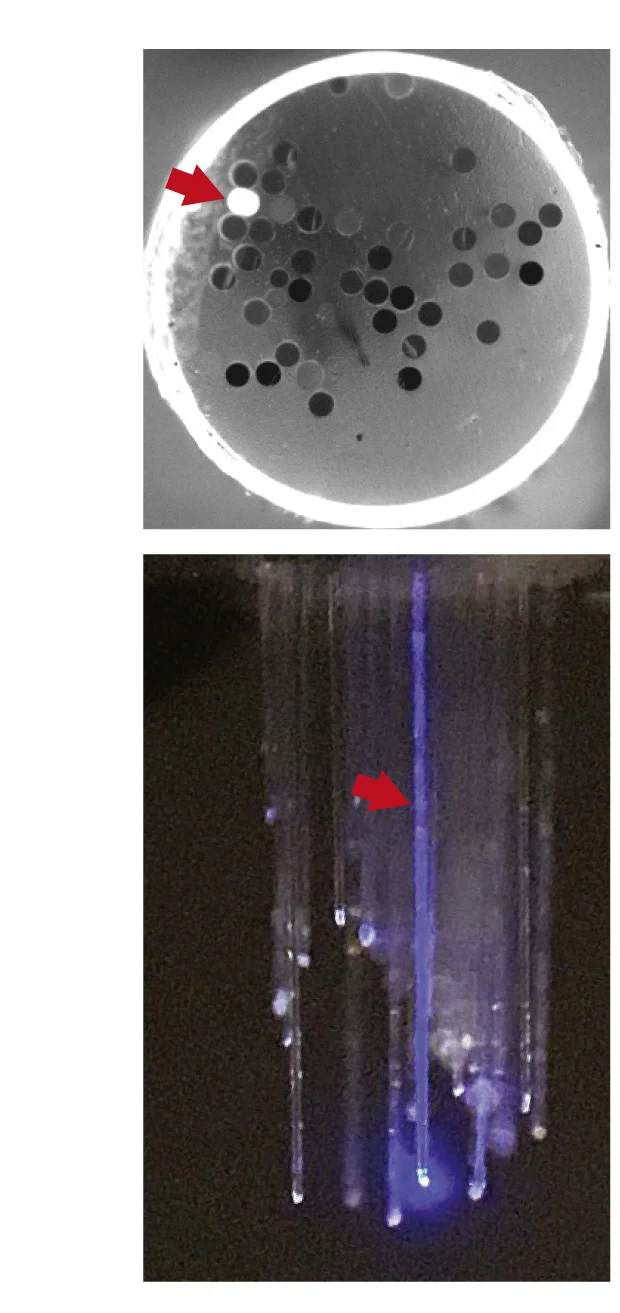 Open access visualization of Microscopy, Photo, LED, Fiber Bundle, Laser Light