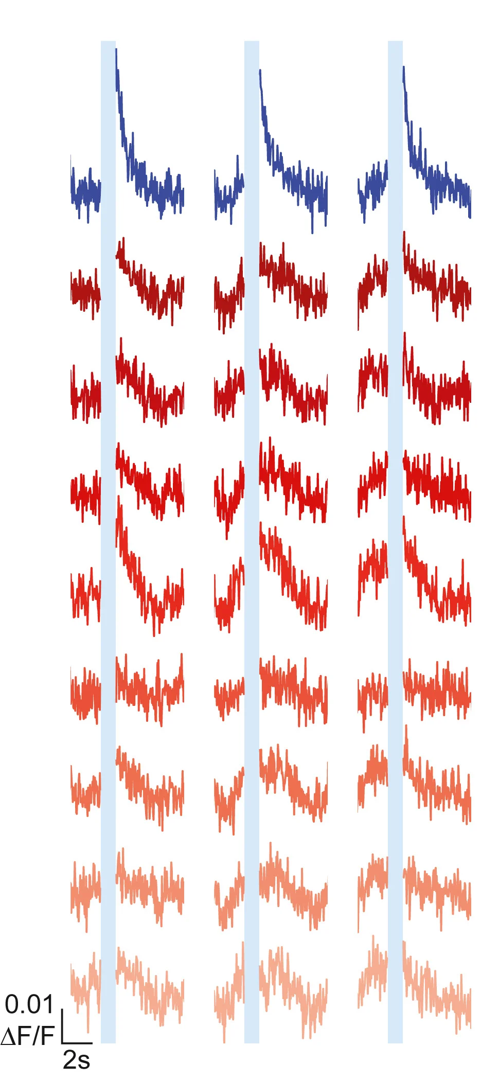 Open access visualization of Line Plot, ΔF/F Traces, Fibers, Stimulation Trials, Recording Sites