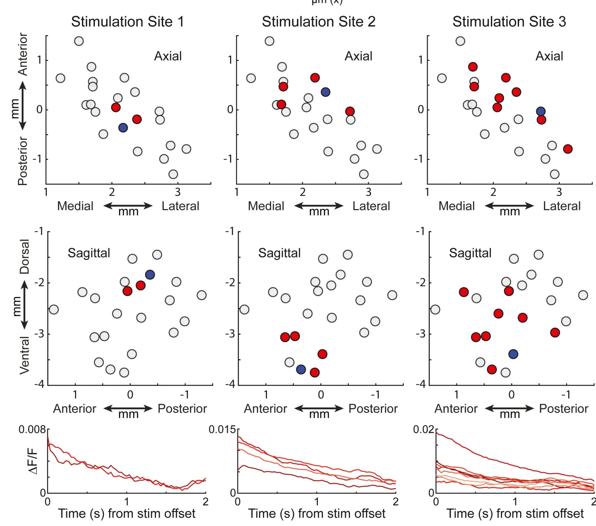 Open access visualization of Scatter Plot, Line Plot, Spatial Maps, DA Release, ΔF/F