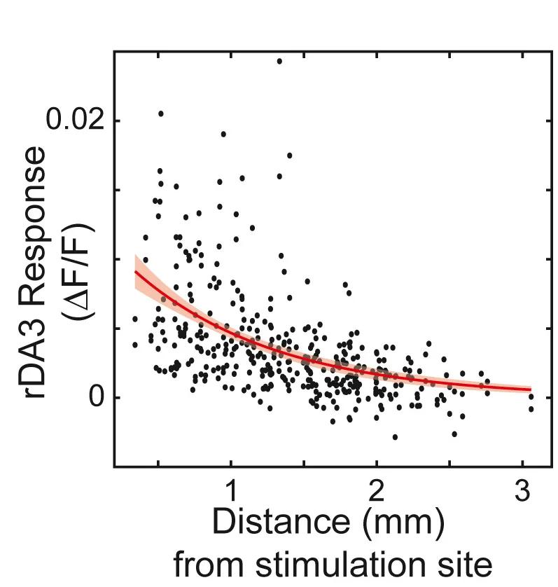 Open access visualization of Scatter Plot, Regression Plot, ΔF/F, Non-Stimulated Fiber, Stimulated Fiber