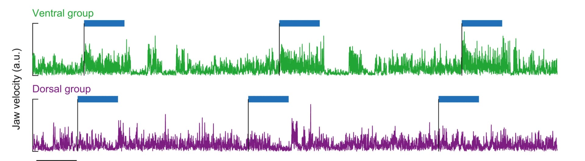 Open access visualization of Line Plot, Jaw Velocity, Stimulation, Ventral Sites, Dorsal Sites