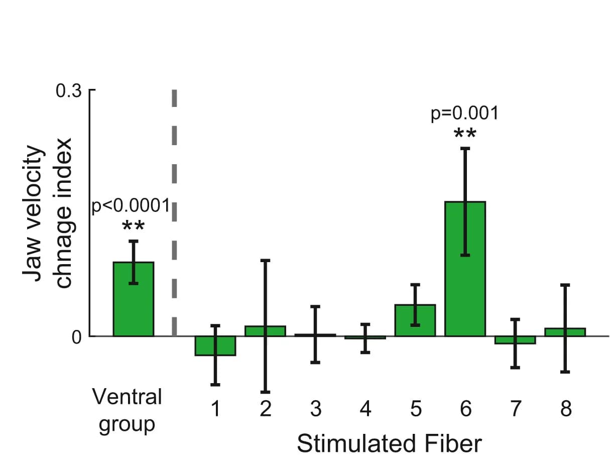 Open access visualization of Bar Plot, Error Bars, Jaw Velocity Change Index, Stimulation, Ventral Sites