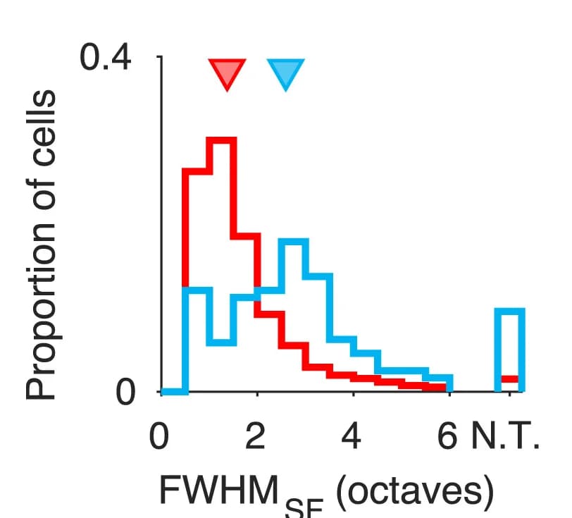 Open access visualization of Histogram, PV+ Cells, Spatial Frequency, Frequency Tuning