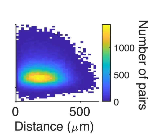 Open access visualization of Heatmap, Two-Dimensional Histograms, Response Similarity, Distance, PV+ Cells